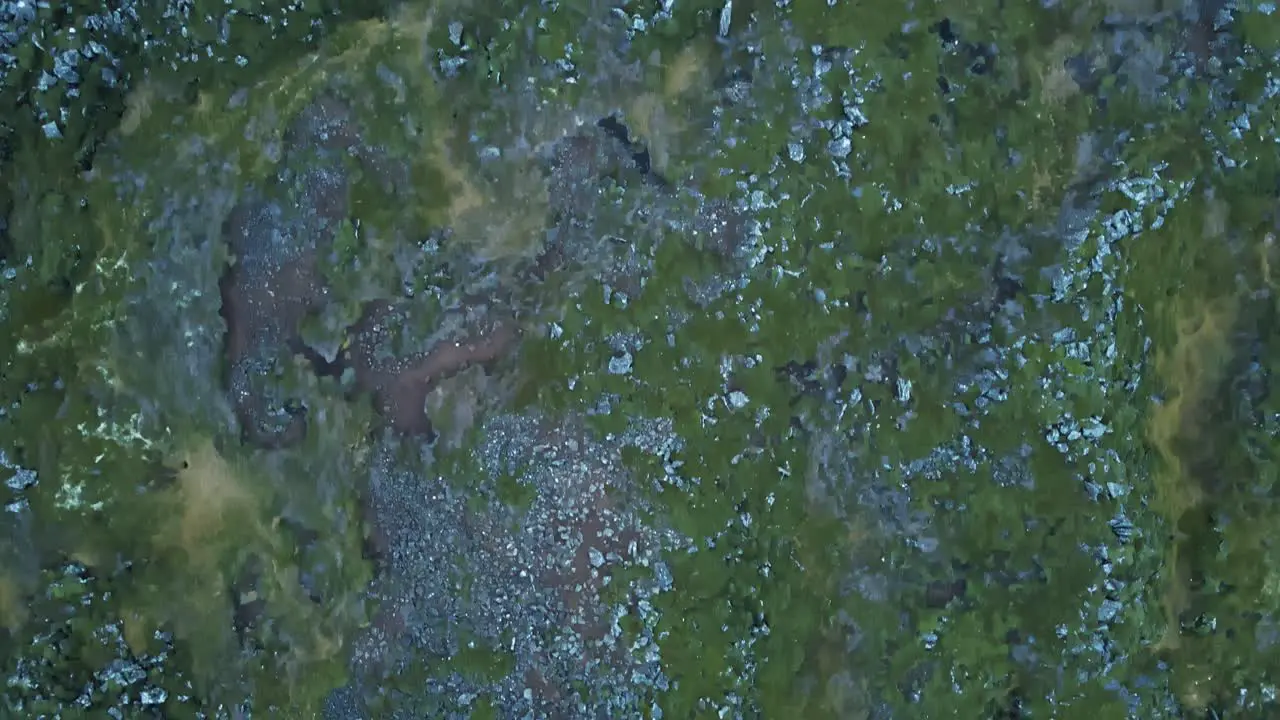 Top down aerial of Icelandic soil with lava rocks and green moss