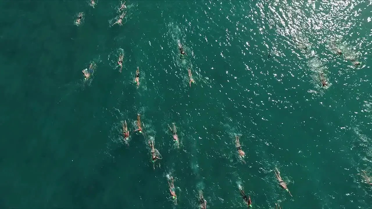 Overhead view of swimmers in a race in the Pacific ocean on sunny day