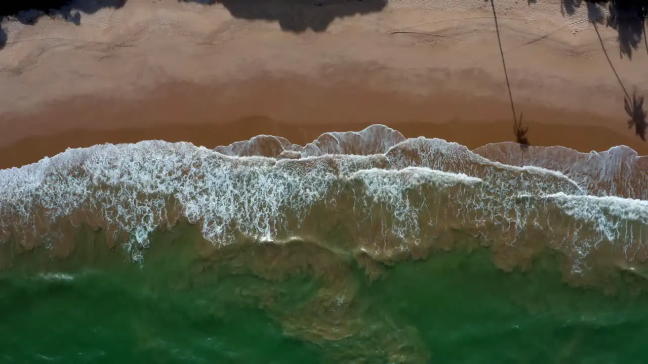 Gorgeous aerial top bird's eye view of a exotic tropical beach in Tabatinga near Joao Pessoa Brazil on a warm summer day