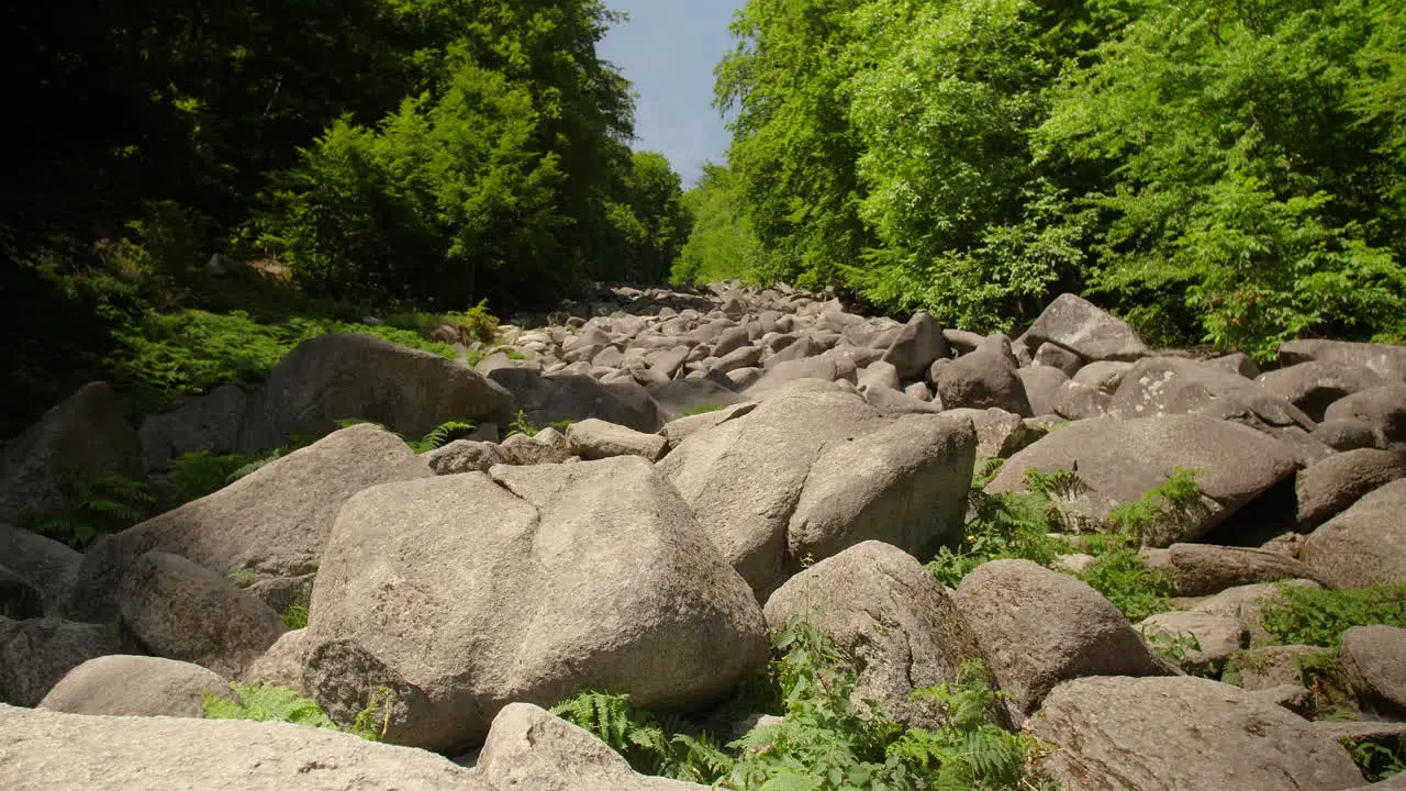 Felsenmeer in Odenwald Sea of rocks wood nature landscape tourism on a sunny day steady wide shot