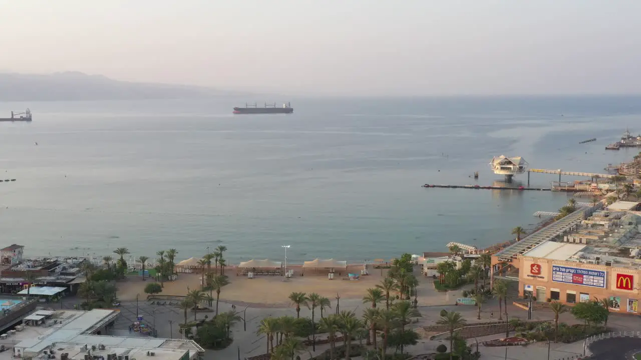 Exotic palm Zion beach Eilat Israel aerial