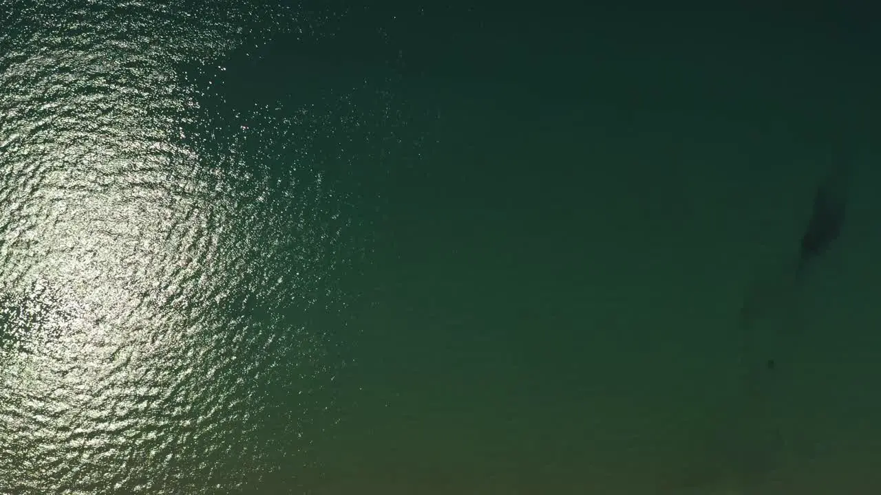 An aerial birds' eye view of a sand beach and the sea moving forward towards the blue sea