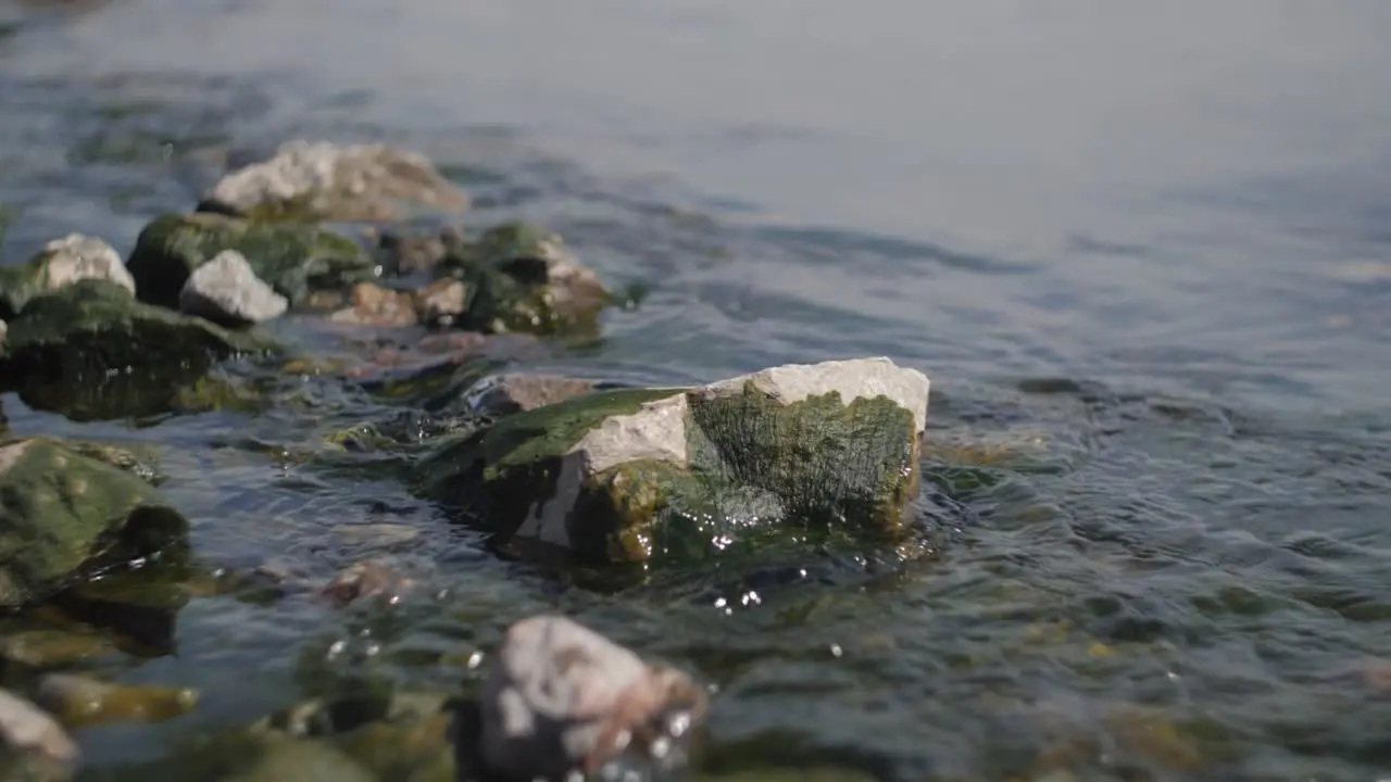 Rocks in a sea water in a blurry background and slow motion with beautiful bokeh