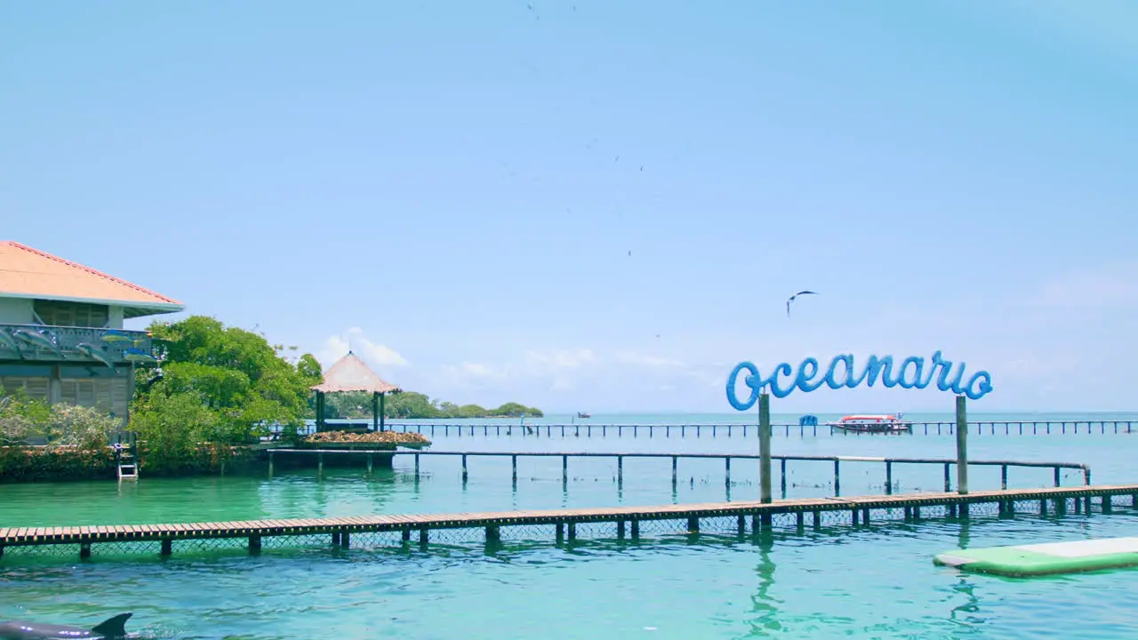 Establishing shot of the Oceanarium in Cartagena Colombia while seagulls fly in the background