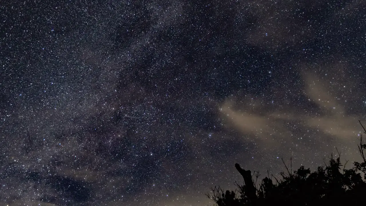 Milky Way and star time lapse with moving clouds airplanes on clear night until dusk with small tree in foreground