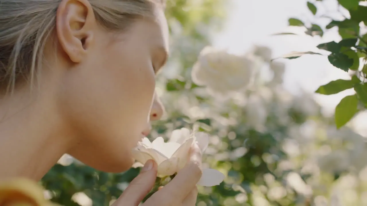 Hermosa Mujer Oliendo Rosas En Un Floreciente Jardín De Rosas Disfrutando De Un Aroma Natural