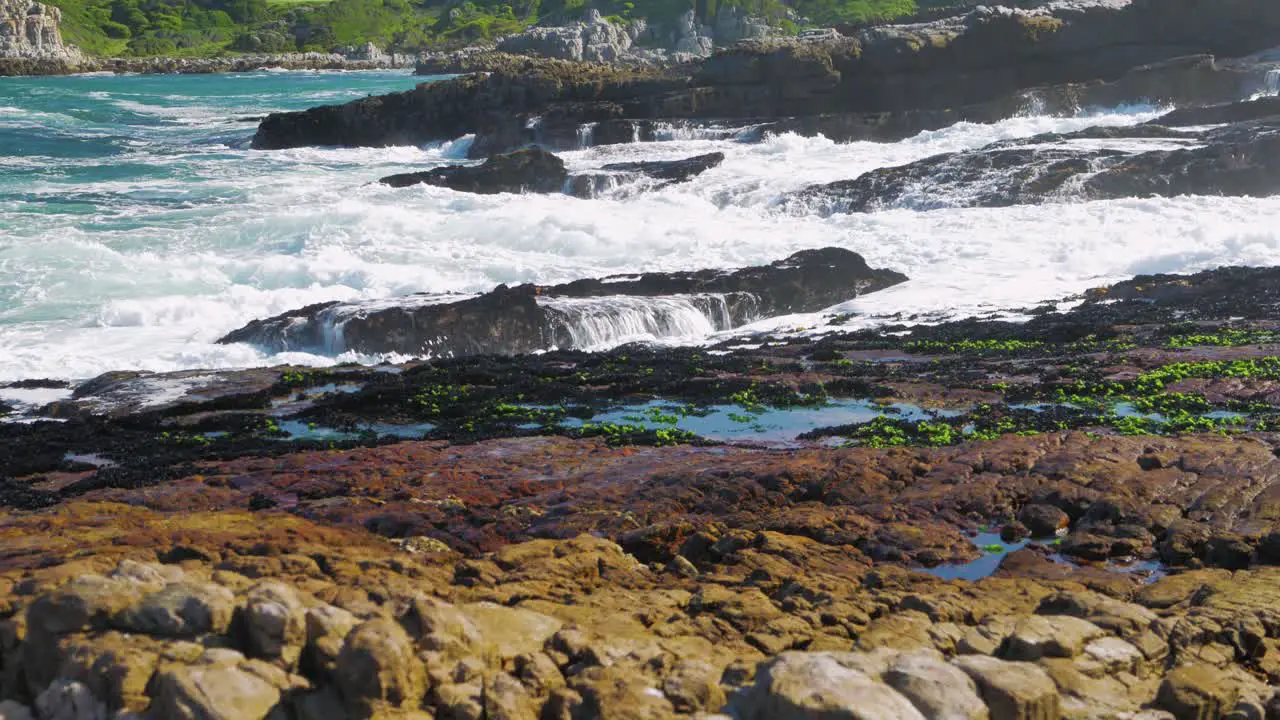 Small waves crashing onto seagrass mussel-covered rocky coastline