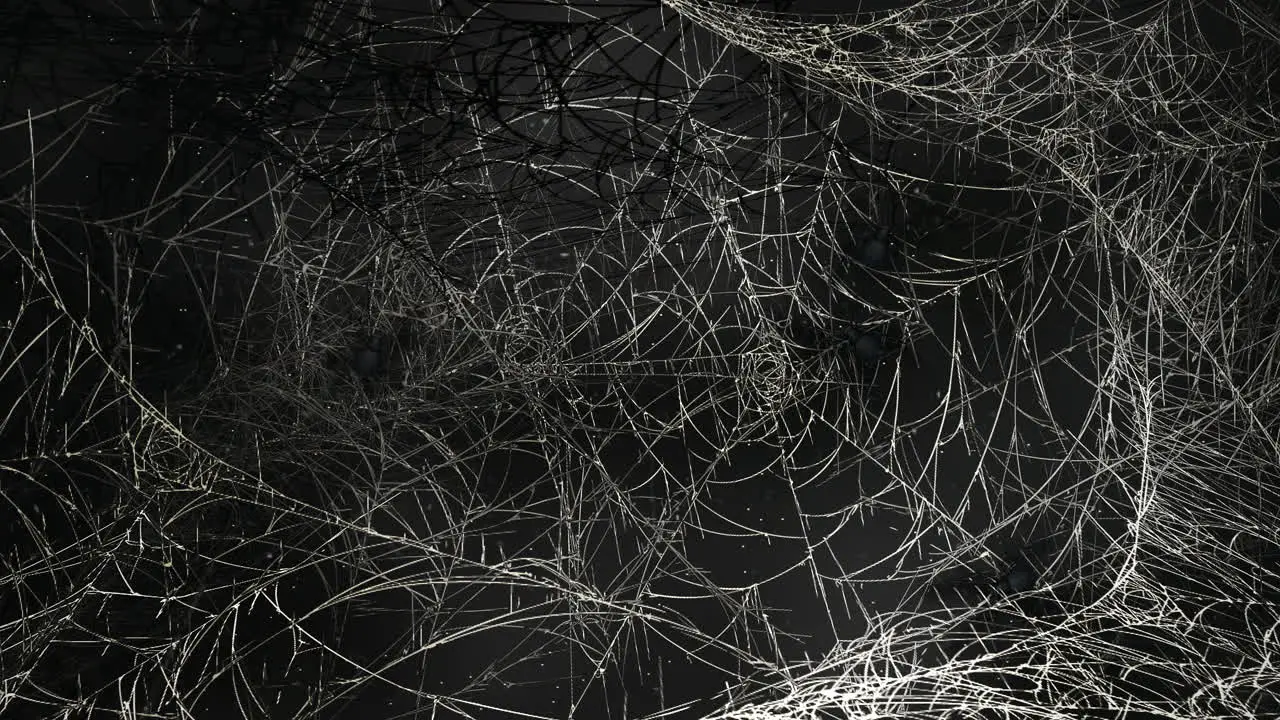 Mystical horror background with dark spiderweb and motion camera 1