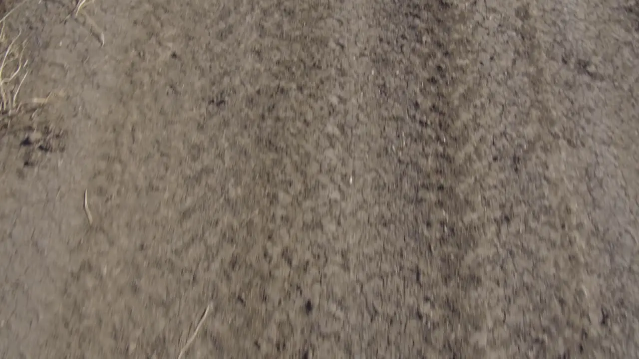 A dry dusty dirt road covered with dried up tire tracks