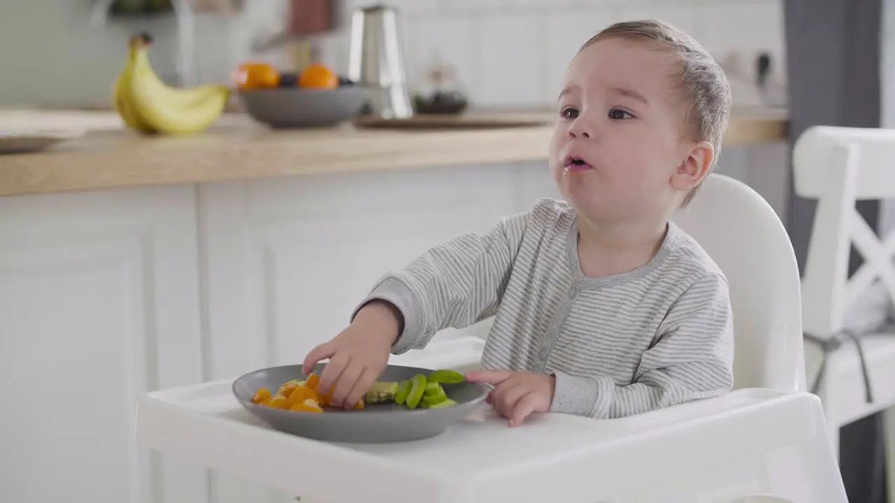 Cute Baby Boy Eating Clementine Sitting In High Chair In The Kitchen