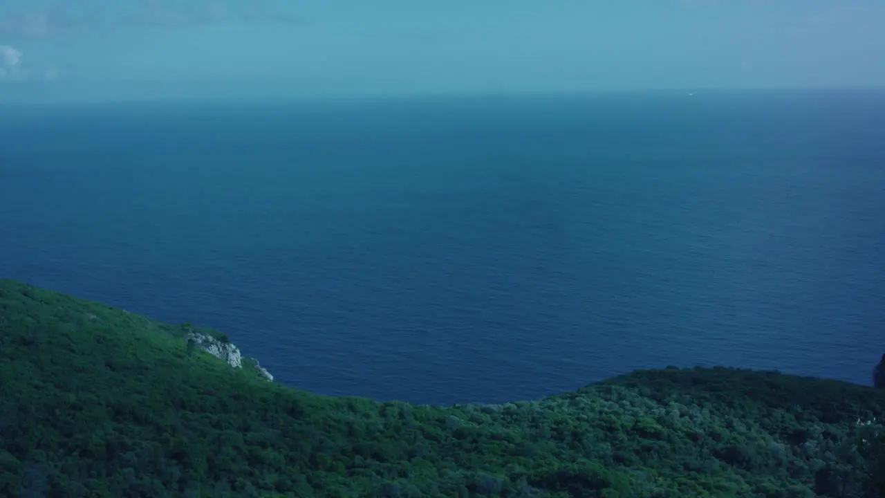 Nature landscape forested sea view in wide angle