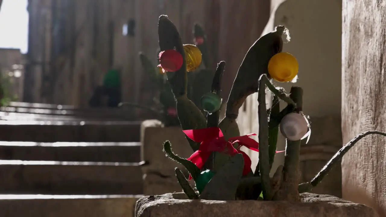 Matera Italy Cactus with Christmas ornaments