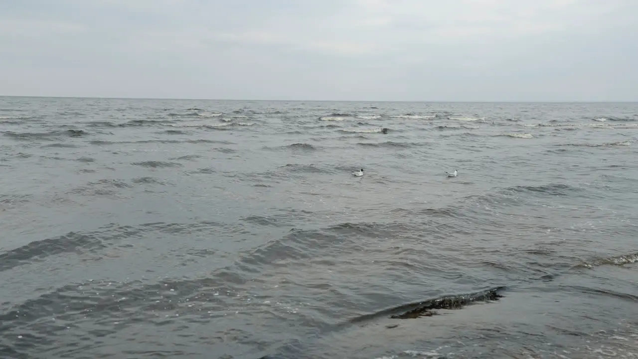 The Gulf of Riga in the spring