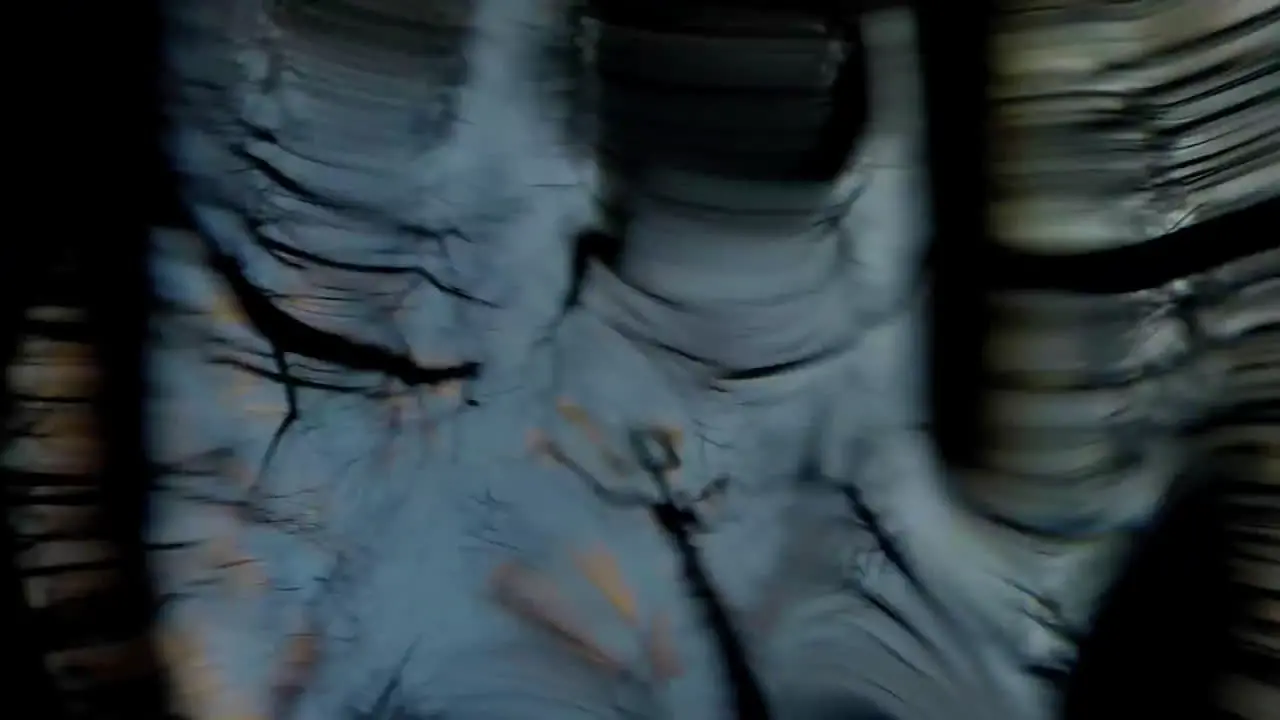 A Low Angle Point Of View Looking Up At A Forest From Underwater