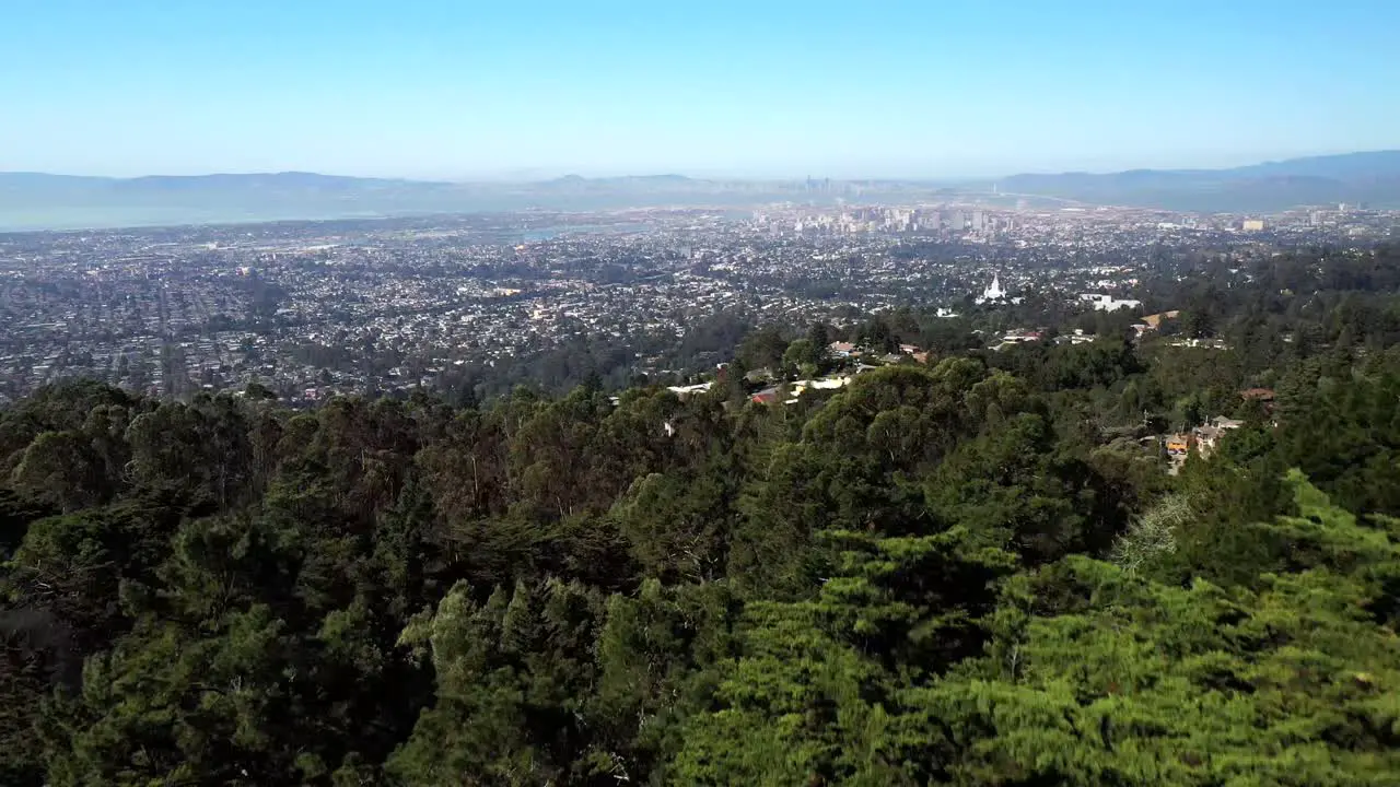 Beautiful push forward over trees to reveal a super city in the bay