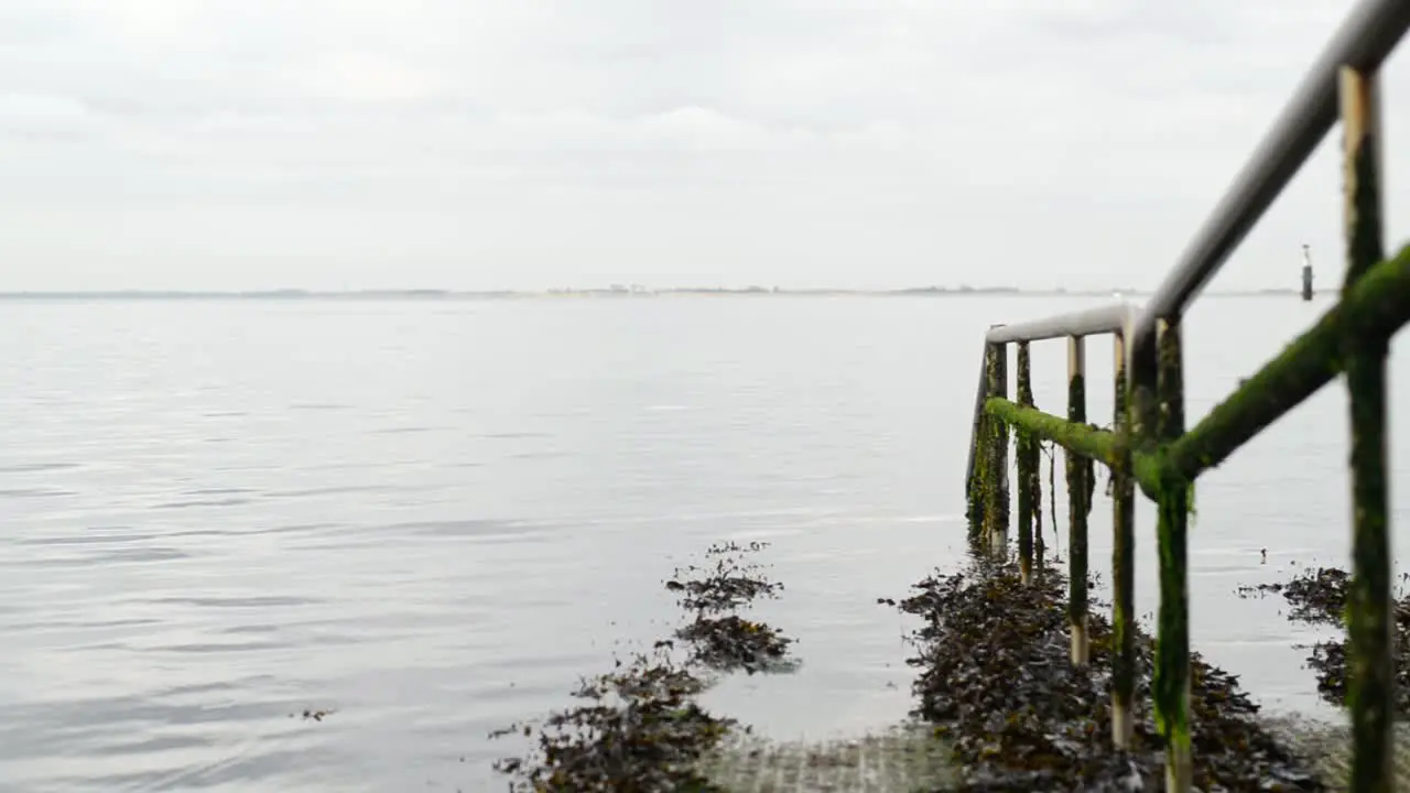 Close up of the seaweed overgrown railing of a grid path to the waters of the dutch north sea