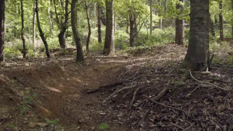 Empty Mountain Bike Dirt Trail Through Woodland 