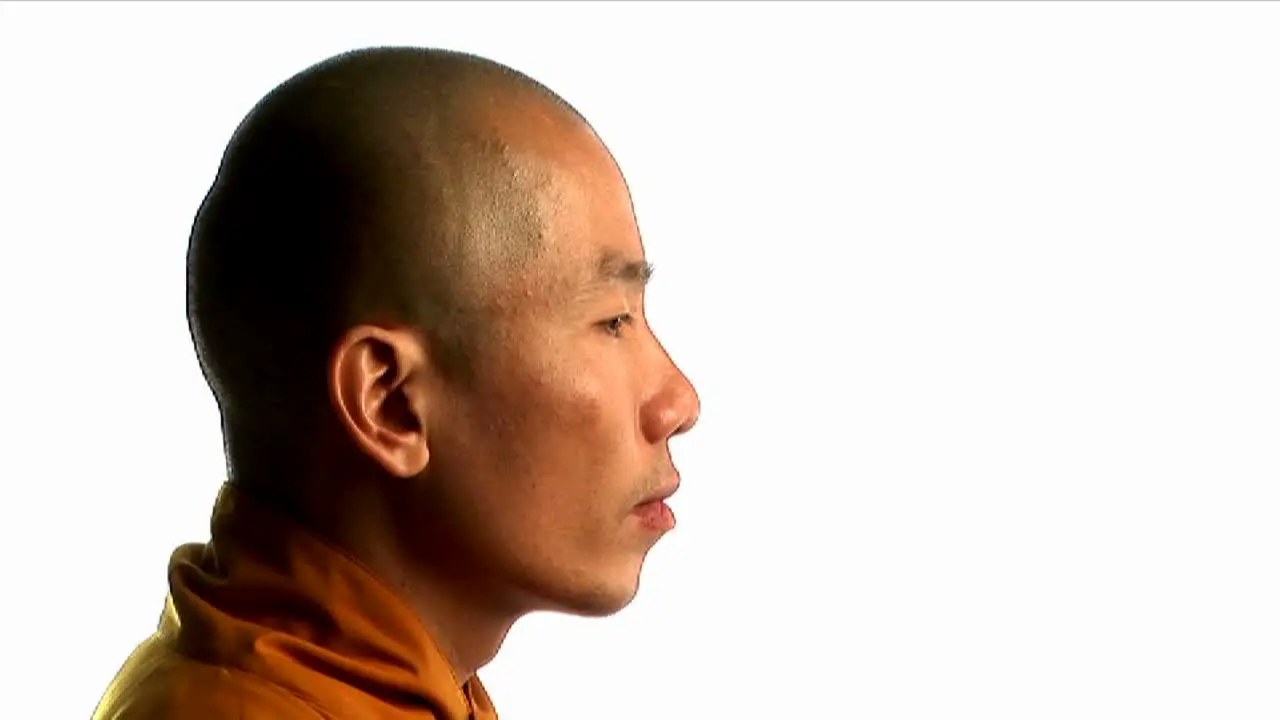 A Buddhist monk wearing an orange robe 3