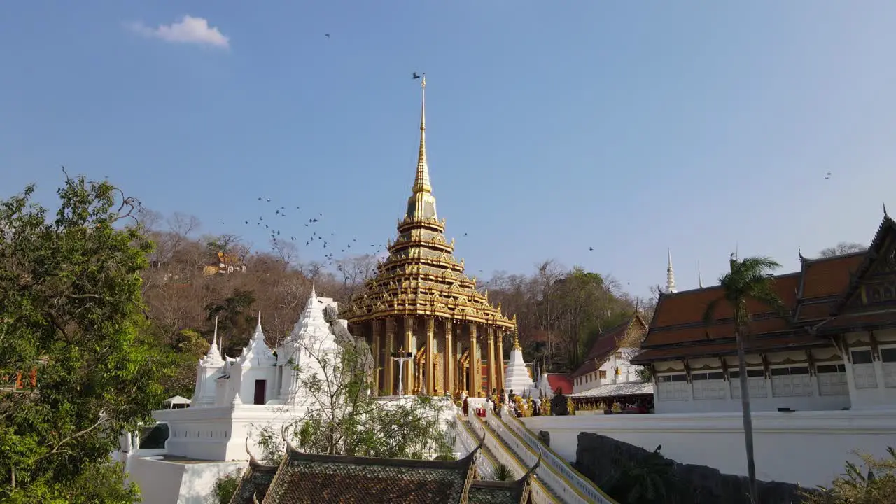 Wat Phra Phutthabat Saraburi Thailand steady aerial shot of the golden Buddhist temple people worshipping pigeons flying around in flocks brown dying trees at the background then a blue sky