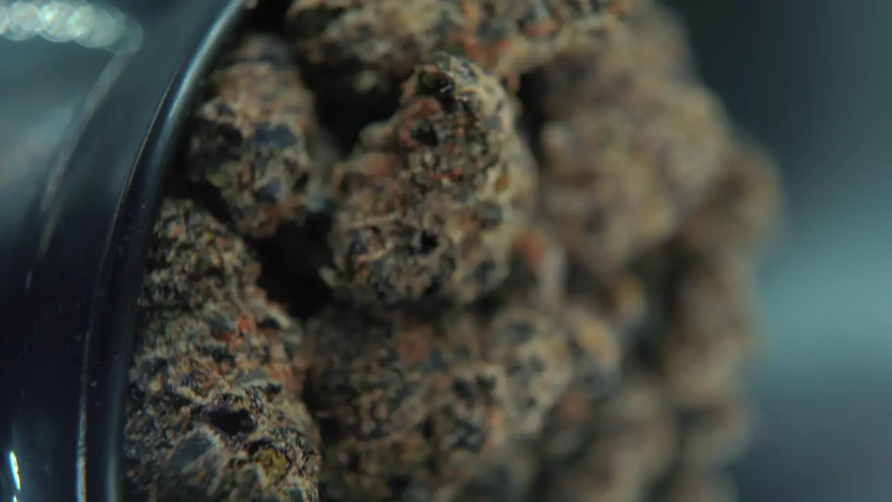 A vertical macro close up detailed shot of a cannabis plant orange hybrid strains Indica and sativa black marijuana flower on a 360 rotating stand slow motion 4K video studio lighting