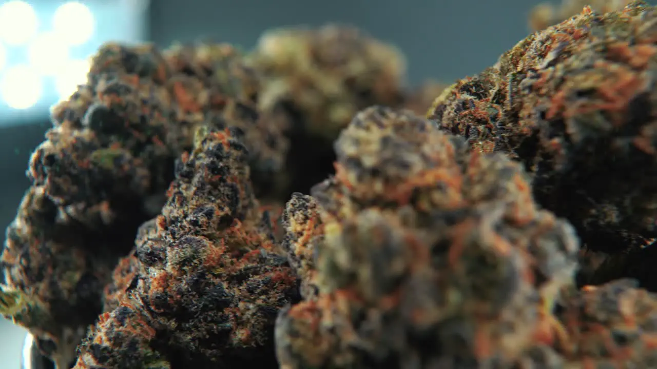 A macro cinematic detailed shot of a cannabis plant orange hybrid strains Indica and sativa  purple marijuana flower on a rotating stand slow motion 4K professional studio lighting