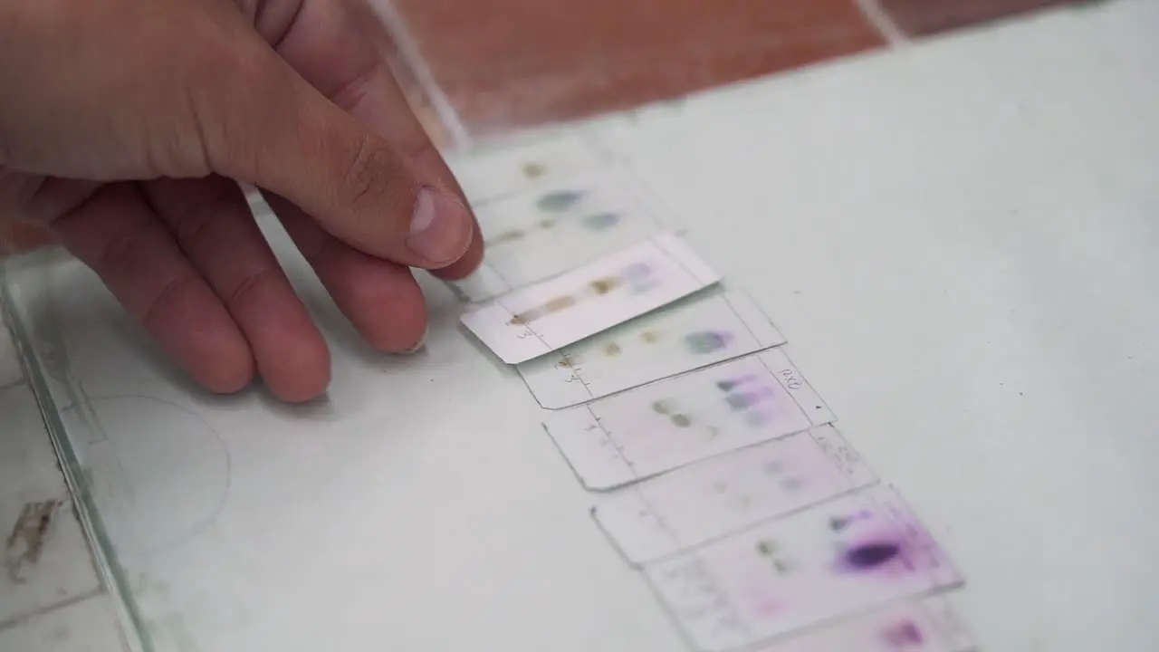 Scientist comparing differents results from an experiment in the lab