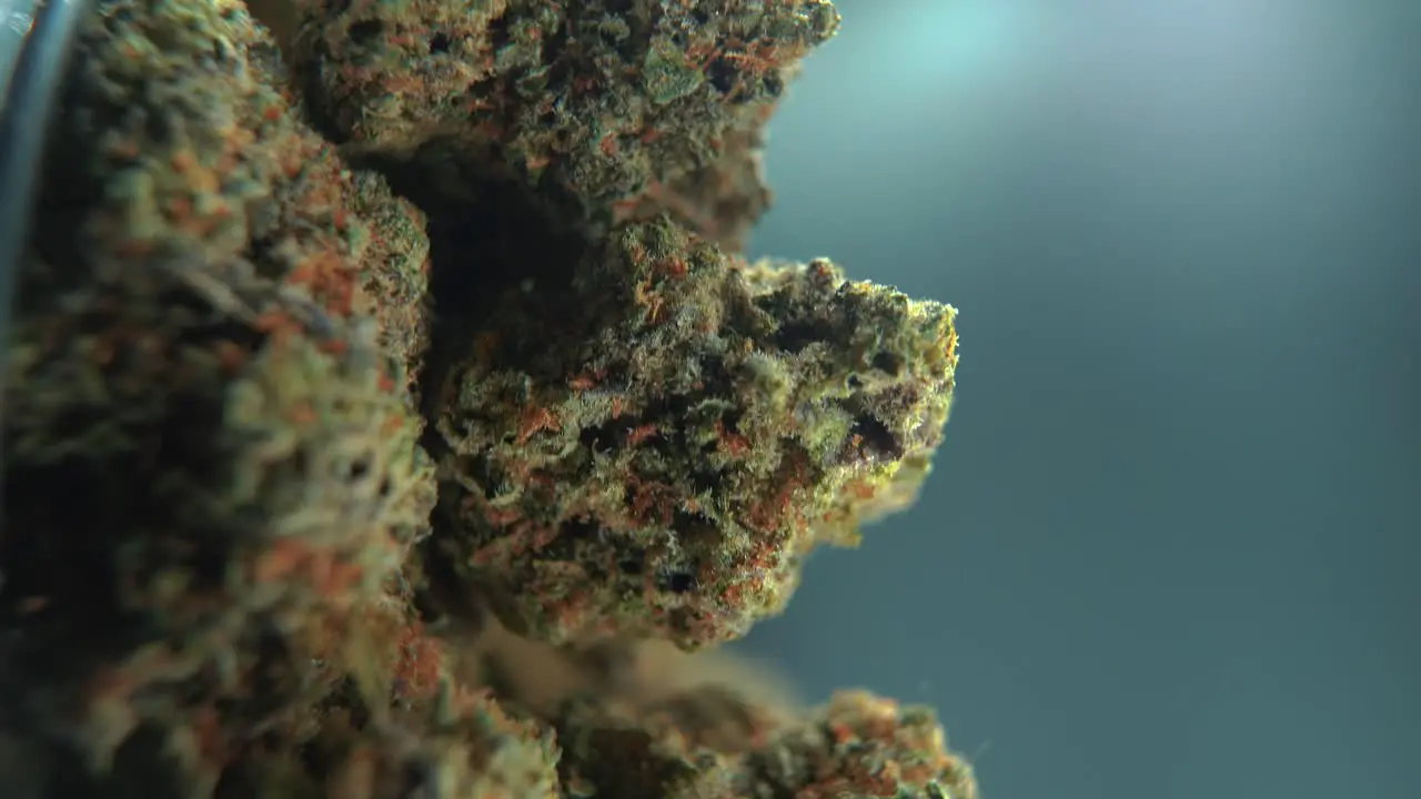 A vertical macro cinematic detailed shot of a cannabis plant orange hybrid strains Indica and sativa weed green crispy marijuana flower on a rotating stand slow motion 4K video studio lighting