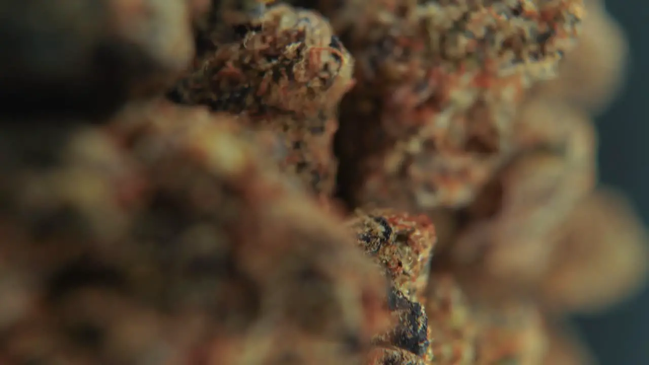 A vertical macro cinematic detailed shot of a cannabis plant orange hybrid strains Indica and sativa green and black marijuana flower on a rotating stand slow motion 4K video studio lighting