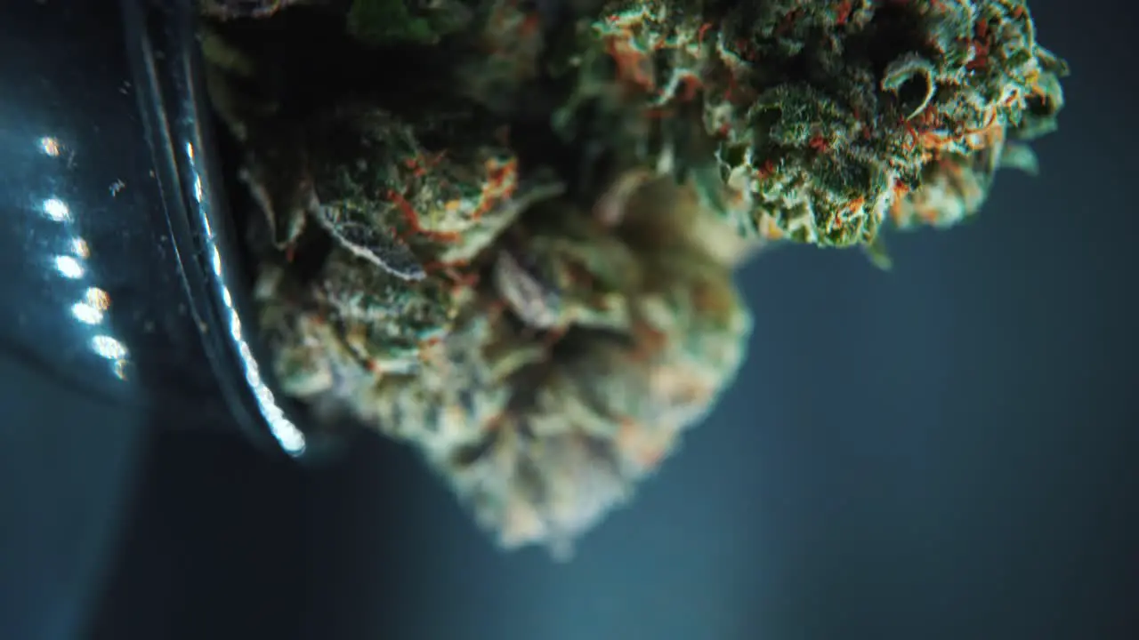 A vertical macro close up cinematic shot of a cannabis plant hybrid strains Indica and sativa marijuana flower on a rotating stand in a shiny bowl slow motion 4K Video