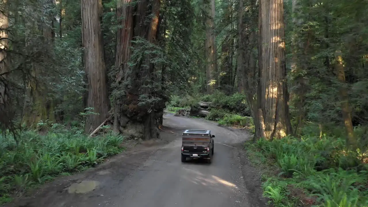 Truck is driving on a path through the woods drone camera is following it up