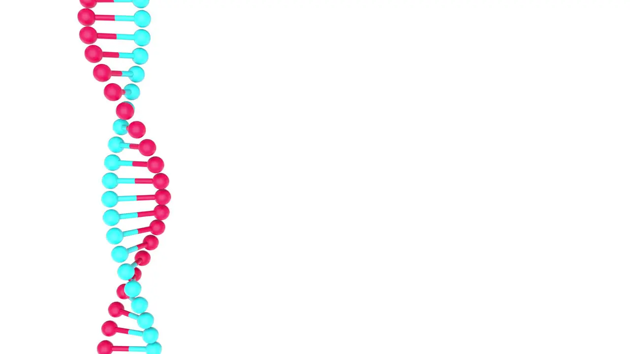 DNA molecule from rotating vertically on white background