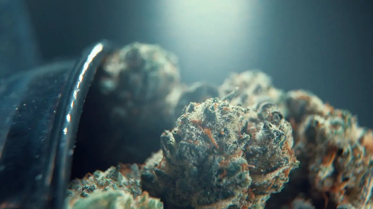 A vertical macro cinematic detailed shot of a cannabis plant hybrid orange strains sativa marijuana flower on a rotating stand shiny bawl Full HD super slow motion 120 fps studio lighting