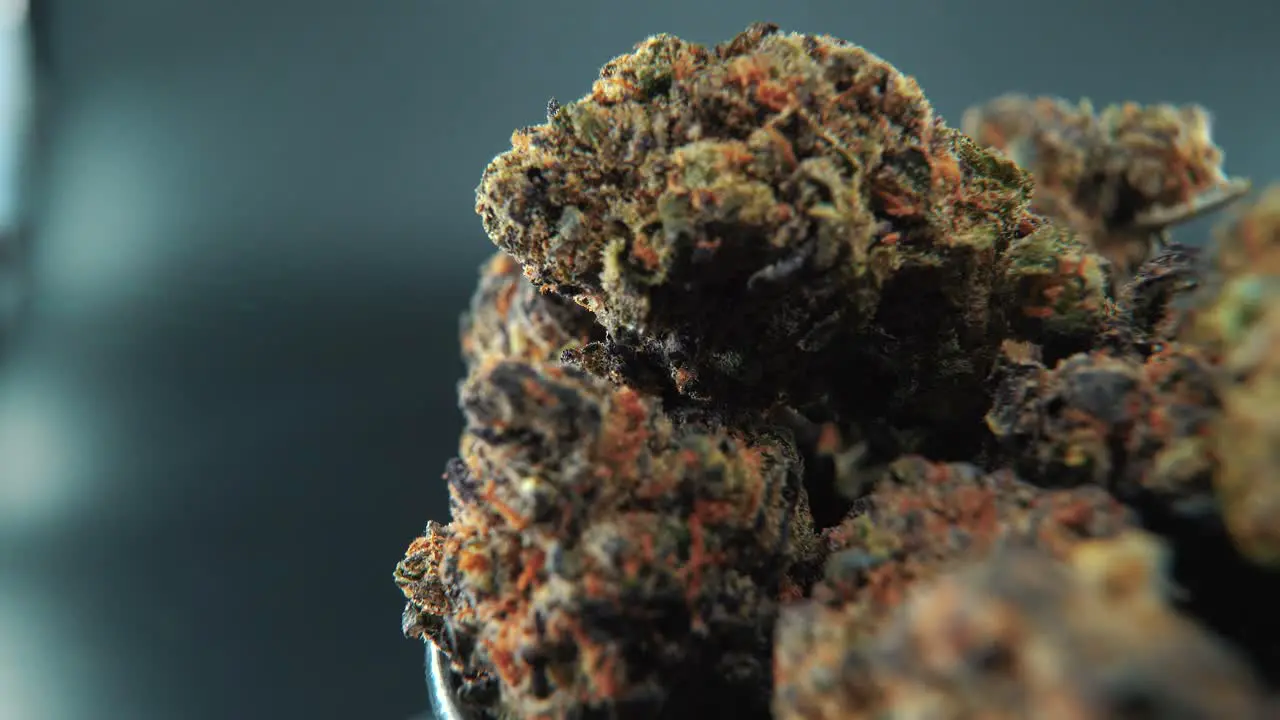 A macro cinematic detailed crispy shot of a cannabis plant orange hybrid strains Indica and sativa  purple marijuana flower on a rotating stand slow motion 4K professional studio lighting