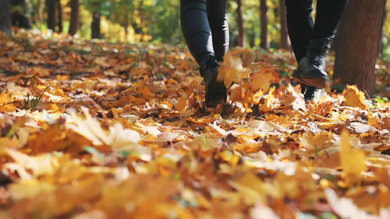 Botas De Novia Y Novio Dando Un Paseo Romántico Sobre Las Hojas Caídas