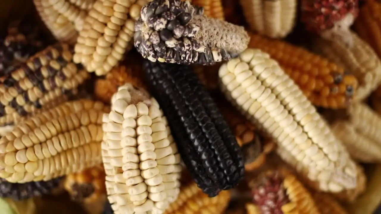 a slider shot of corn in peru