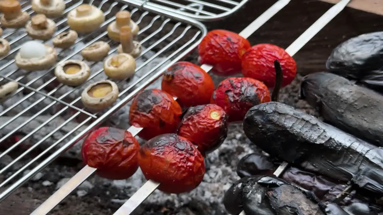 Grill outside in nature Barbecue tomato roast mushroom grilled eggplant on campfire burn skin charcoal wood fire in Iran family picnic in countryside local food cuisine with garlic olive oil recipe