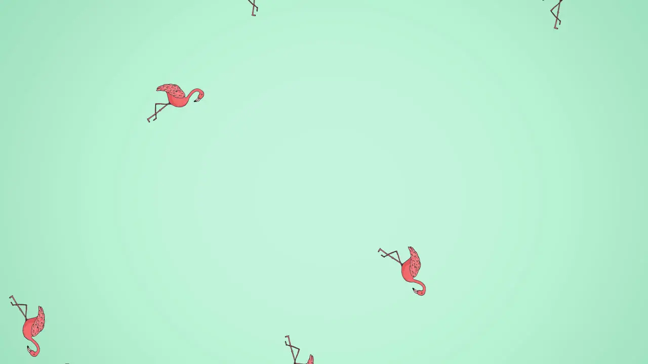 Animation of flamingos moving on green background