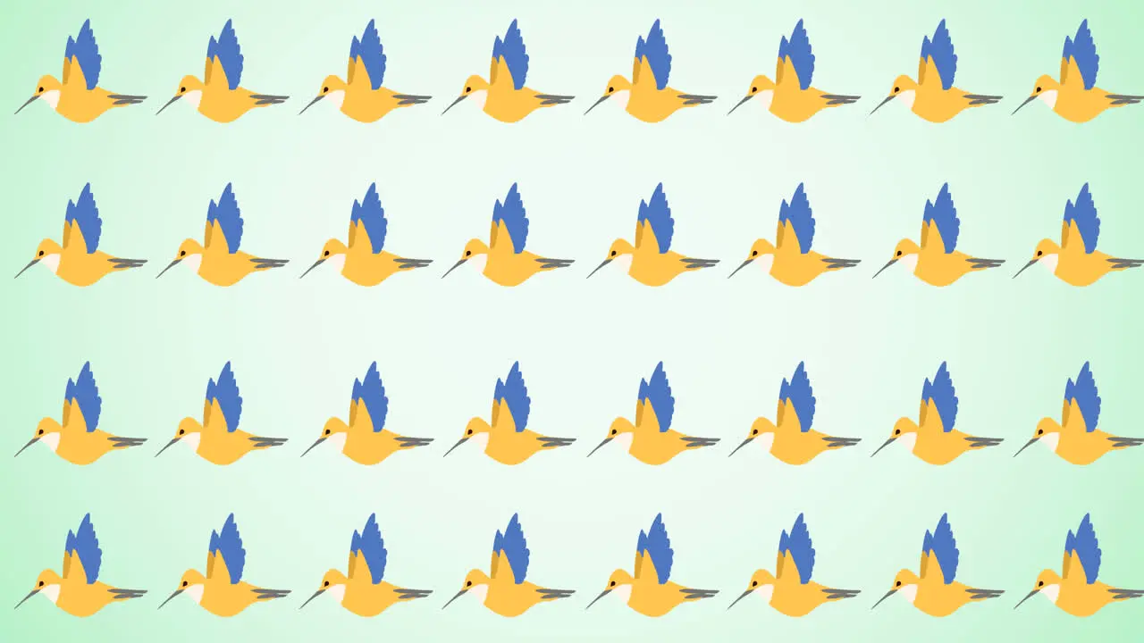 Animation of rows of tropical birds moving on green background