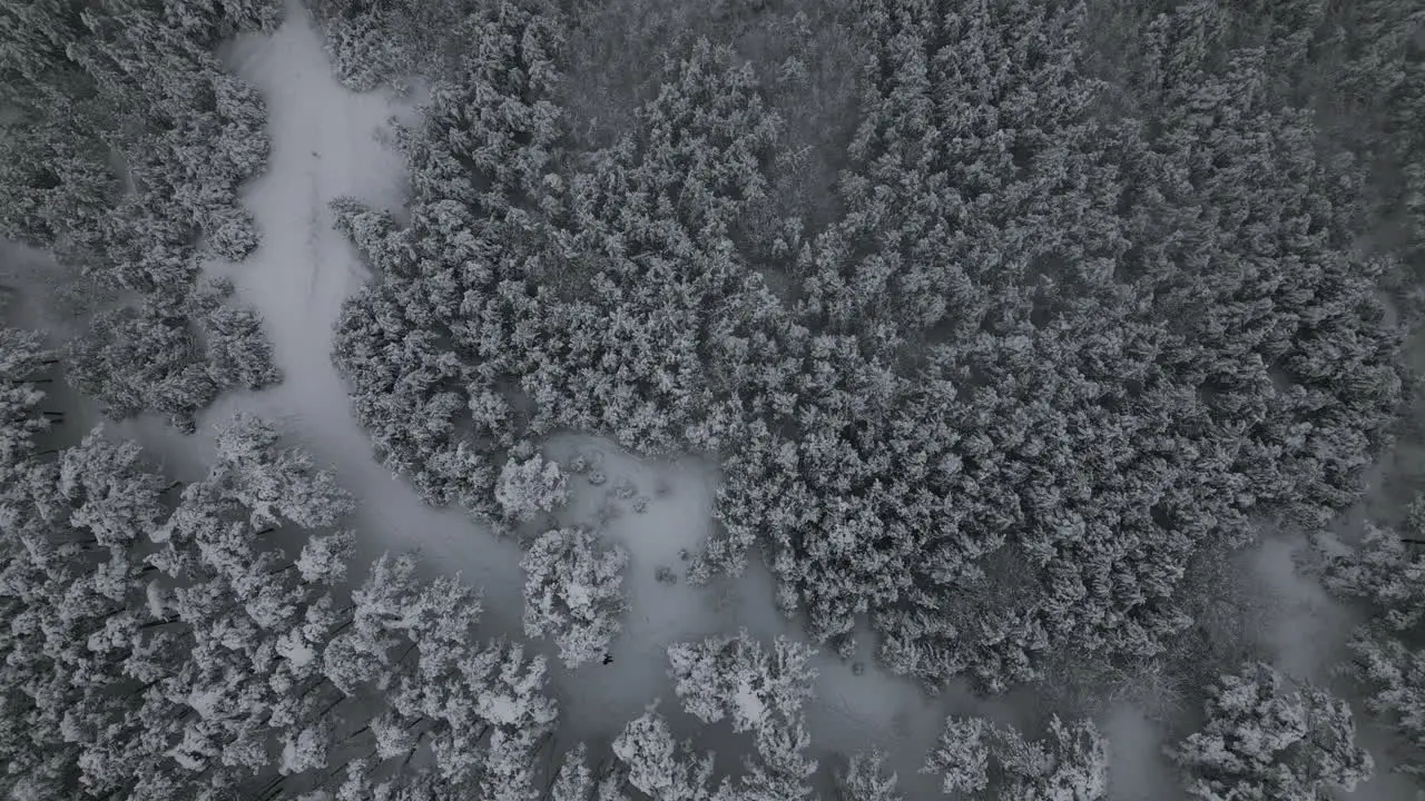 Snowy Foggy Winter Aerial Footage of man walking in snow in forest