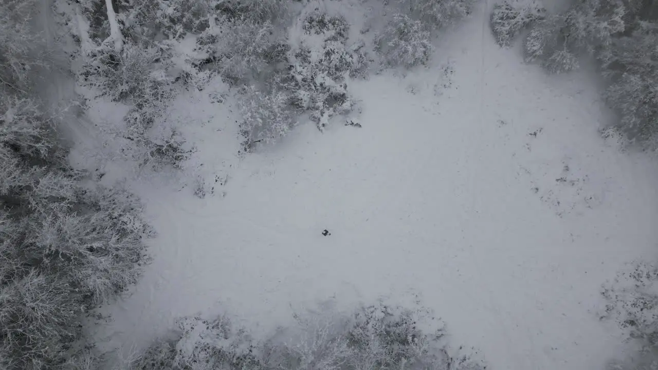 Aerial Footage of man walking in snow in forest