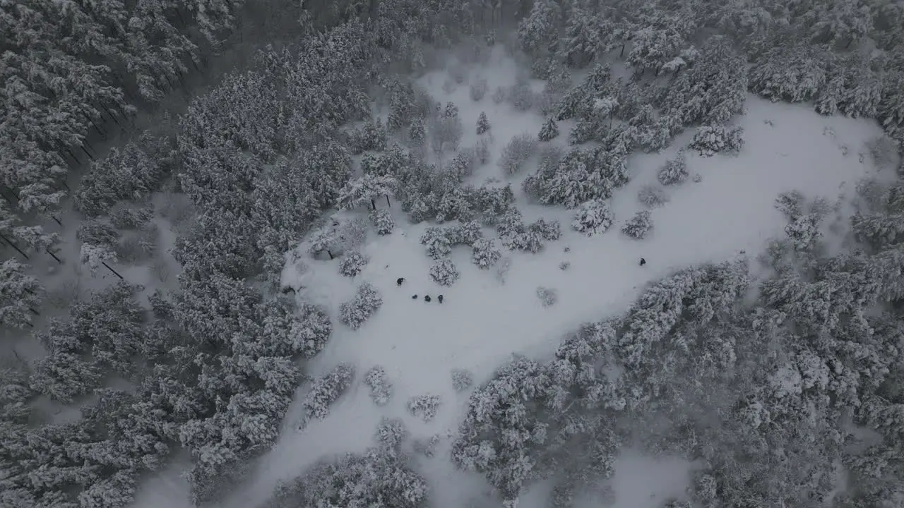 Aerial Footage of People hiking in the snowy mountain in winter