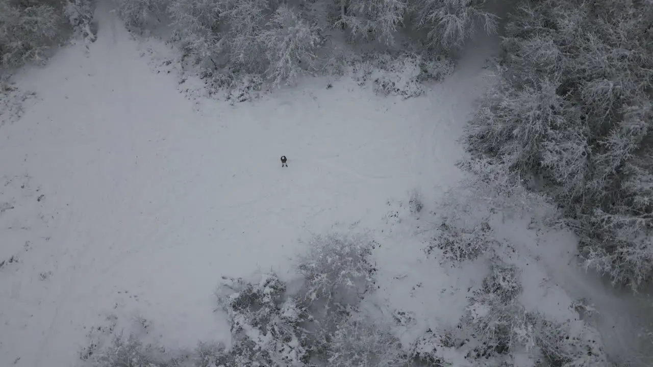 Aerial Footage of man standing in snow