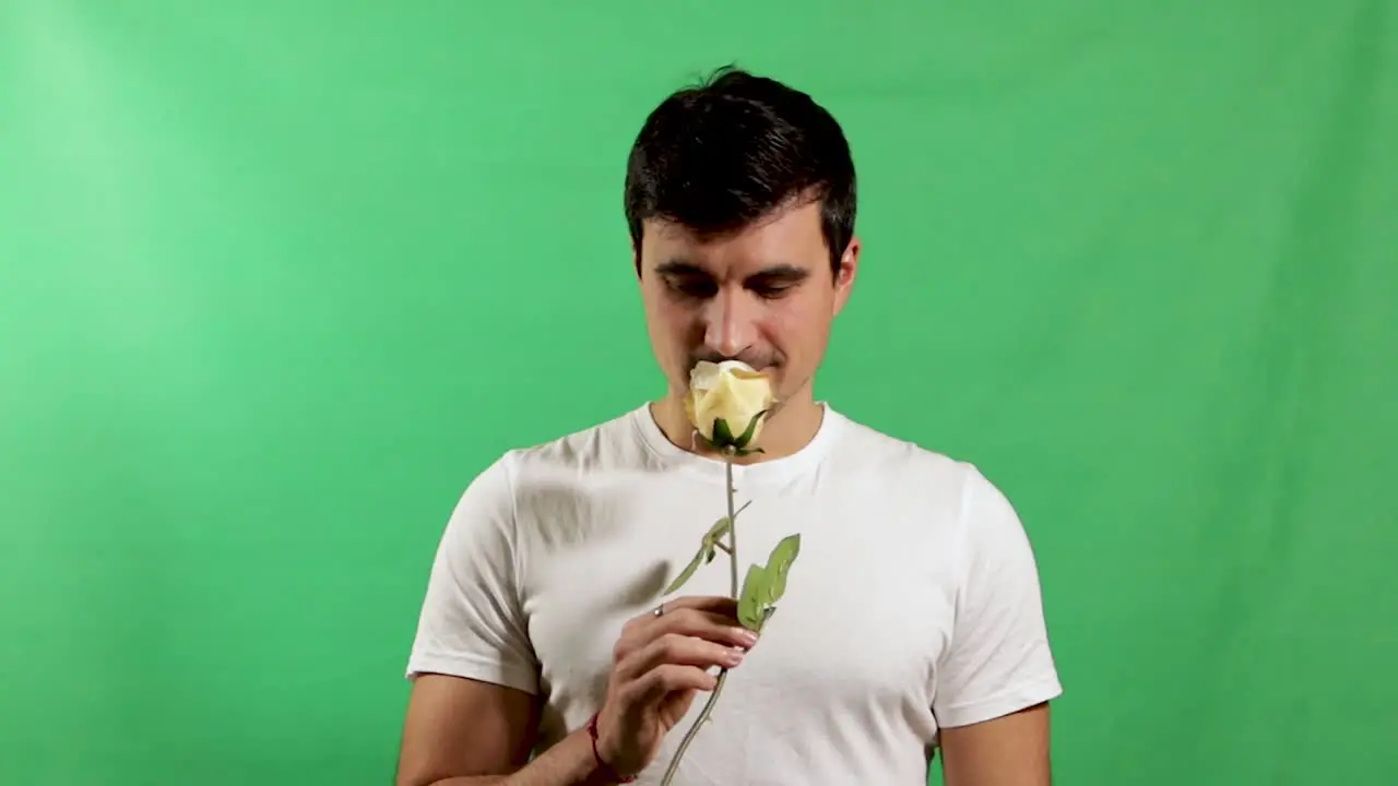 Handsome young adult giving rose flower isolated on green screen