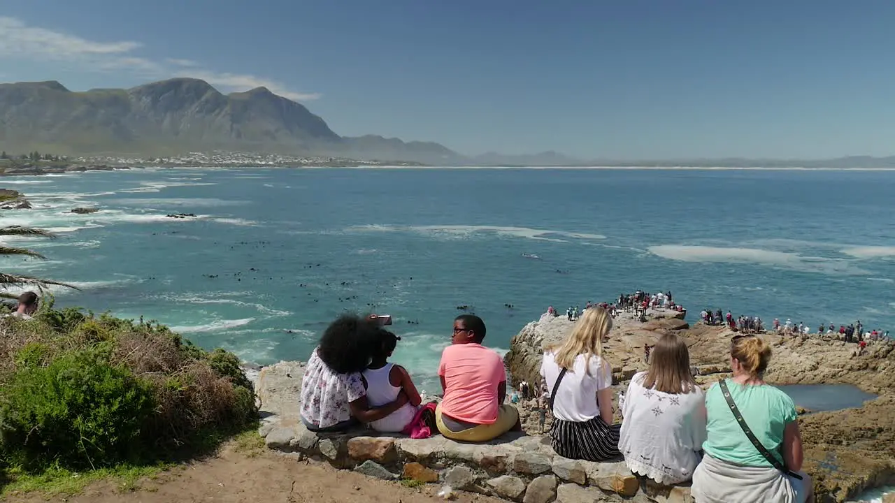 Group watching whales in Walker Bay from vantage point and taking selfies