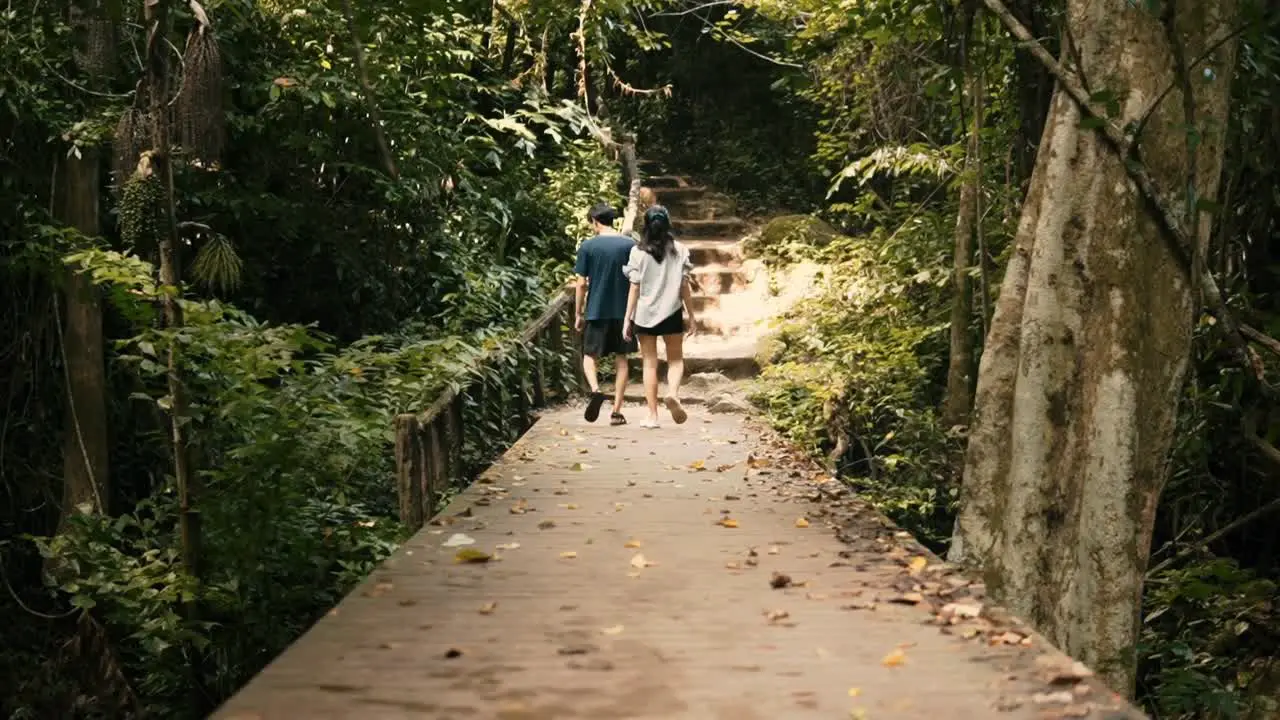 Walking through beautiful tropical jungle