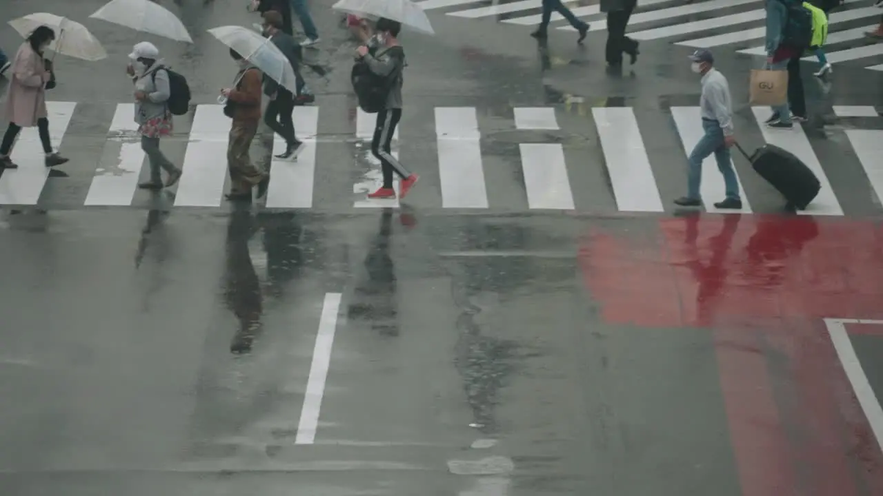 Pedestrians With Umbrella Walking At Shibuya Crossing On A Rainy Day In Tokyo Japan