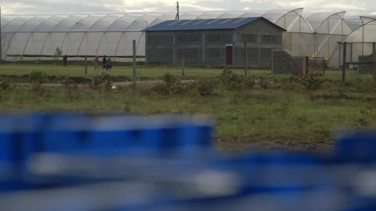 Kenyan works walking in a big farm with greenhouses