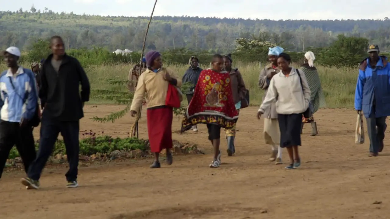 Kenyan workers going to work early in the morning in a modern Kenyan farm