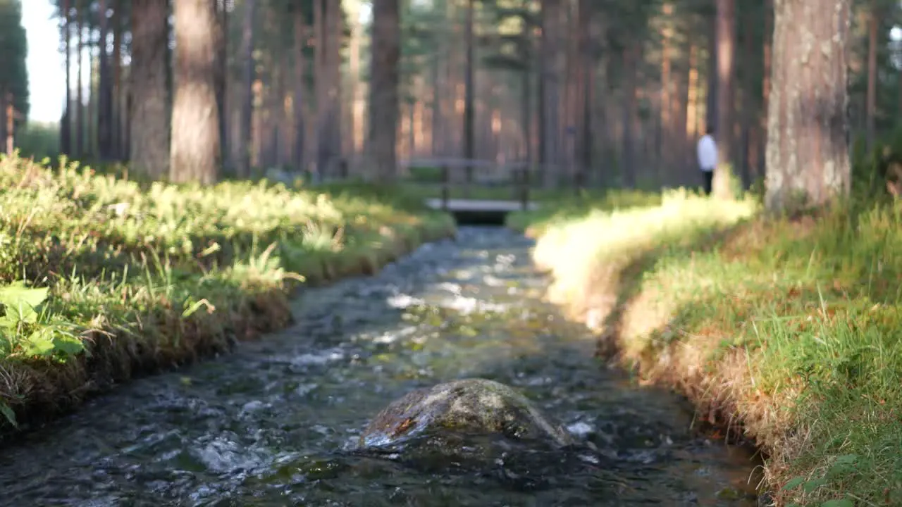 Man runs across a bridge in the forest out of focus in the background while a river is focused on a stone in the foreground