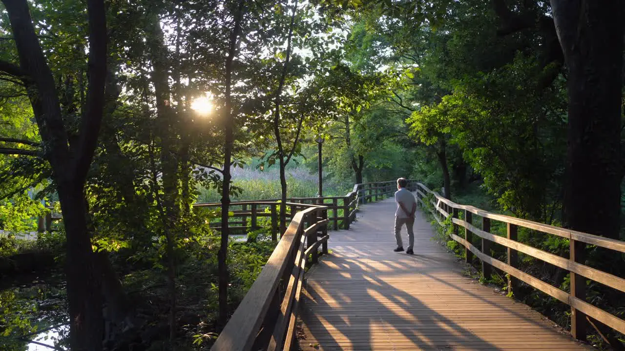 A man walks very calmly through the shakujii park in Tokyo in a summer evening ideal for taking the cool of the afternoon and breathing fresh air